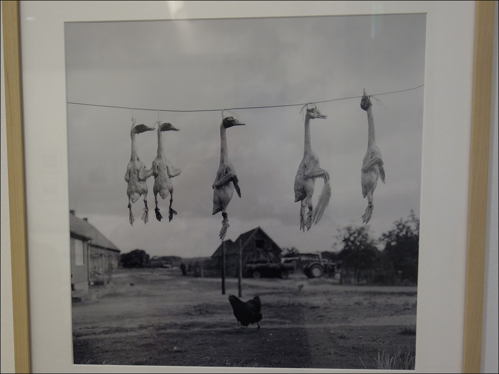 Rudolf Holtappel in einer Ausstellung in der Ludwiggalerie