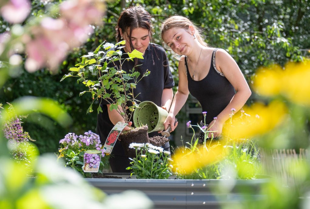 Schulprojekt zur Berufsfelderkundung im Garten- und Landschaftsbau